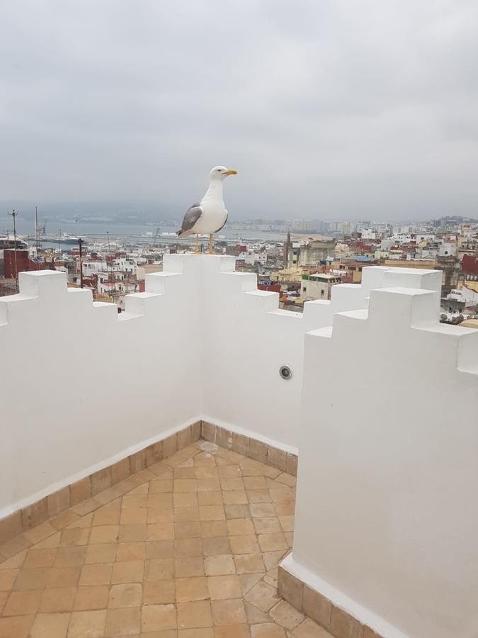 Maison Medina, Terrasse Panoramique, Vue Mer Tanger Exterior foto